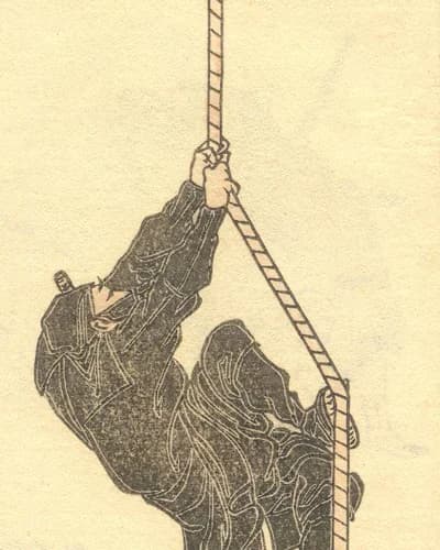 Ninja